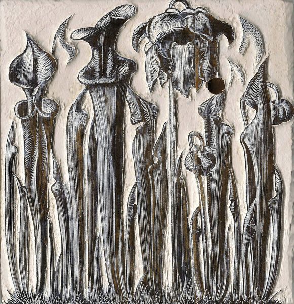 Artist Clare Leighton (1898-1989): Trillium (BPL 522), 1942