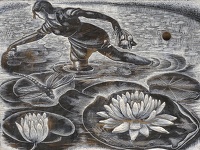 Artist Clare Leighton: Gathering Lily Pads BPL 702 1954